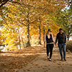 Couple walking in the Fall Couple walking in the Fall