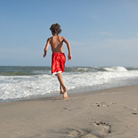 Summer in Assateague